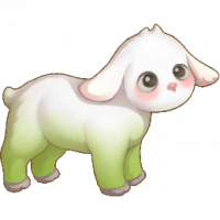绿绵羊_Sheep08