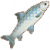 鲮鱼图标