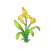 黄兰花图标