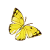 黄翼蝶图标
