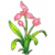 粉兰花图标