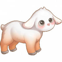橙绵羊_Sheep06