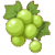 青葡萄图标