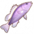 紫吻鲈图标