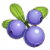 蓝莓图标