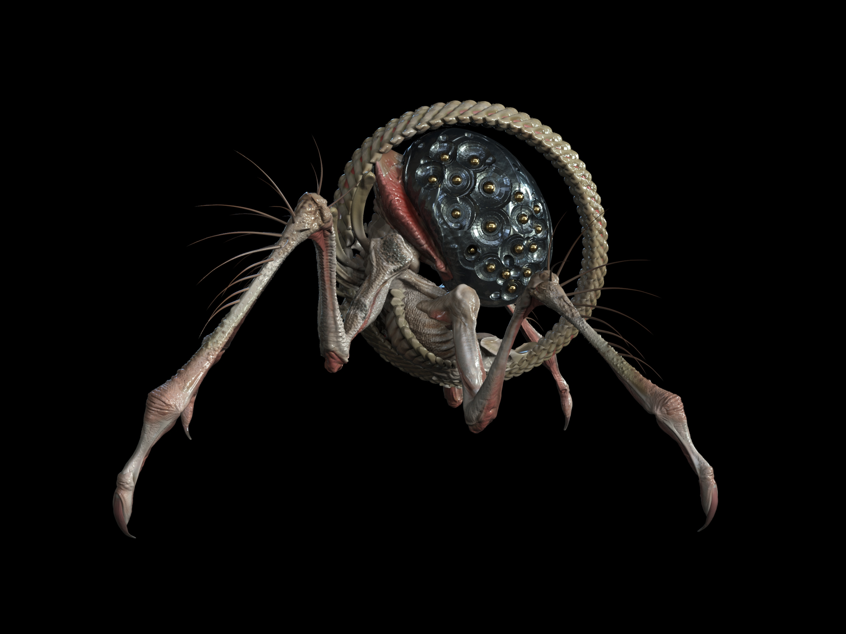 ArtBook Monster 049.png