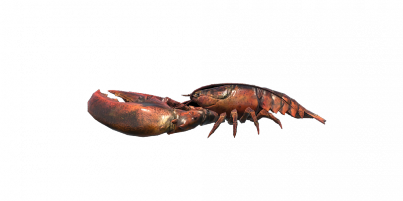 文件:Fish Lobster.png