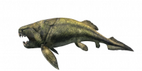 Fish Dunkleosteus.png
