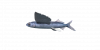 Fish FlyingFish.png