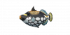 Fish Triggerfish.png