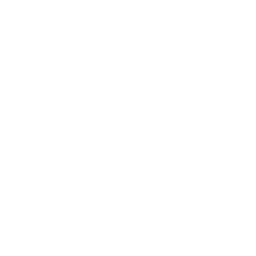 技能 icon 缇莉娅 普攻.png