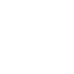 技能 icon 卡西米拉 援技.png