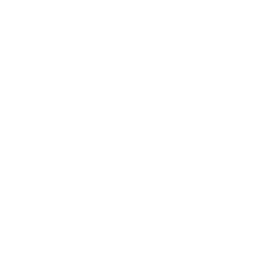 技能 icon 尘沙 绝招.png