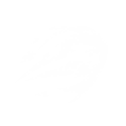 13301 Skill Support.png