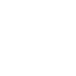 技能 icon 璟麟 援技.png