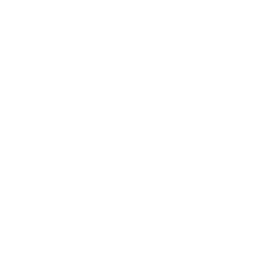 技能 icon 卡娜丝 绝招.png