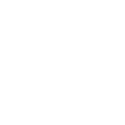 技能 icon 师渺 普攻.png