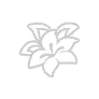 秘纹 技能 icon 星光的印记.png