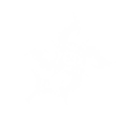 13301 Normal.png