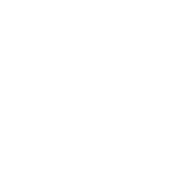 技能 icon 鸢尾 主技.png