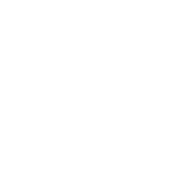 技能 icon 卡西米拉 绝招.png