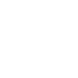 技能 icon 琥珀 绝招.png