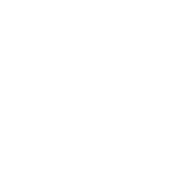 技能 icon 缇莉娅 援技.png