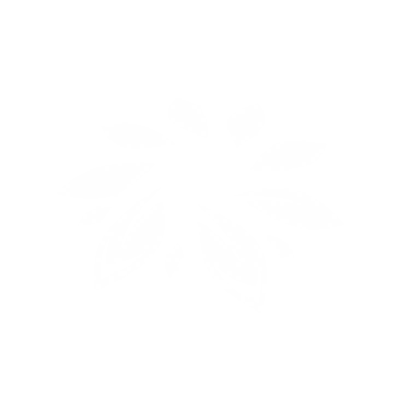 12001 Potential 24.png