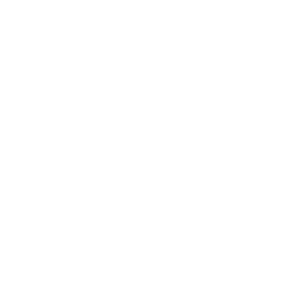 技能 icon 密涅瓦 普攻.png