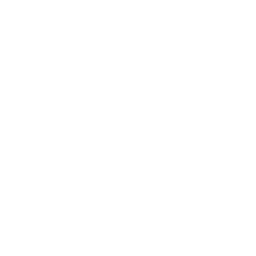 技能 icon 璟麟 绝招.png