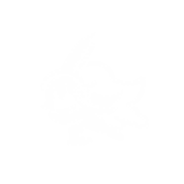 14301 Potential 41.png