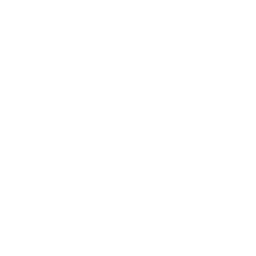 技能 icon 密涅瓦 主技.png