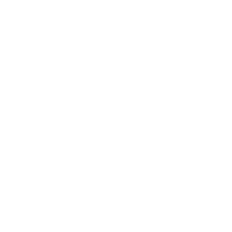 技能 icon 杏子 绝招.png