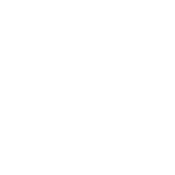 技能 icon 密涅瓦 援技.png