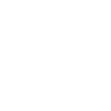 14301 Potential 22.png