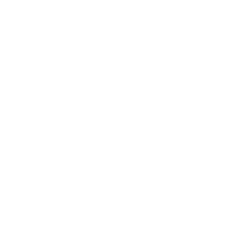 技能 icon 杏子 援技.png