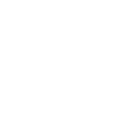 技能 icon 杏子 普攻.png