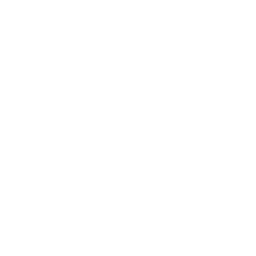13001 Normal.png