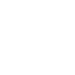 技能 icon 缇莉娅 主技.png