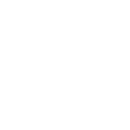 技能 icon 缇莉娅 绝招.png