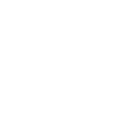 11301 Skill Support.png