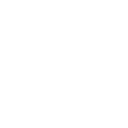 技能 icon 花原 援技.png