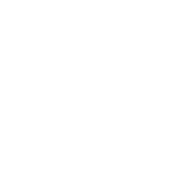 技能 icon 尘沙 援技.png