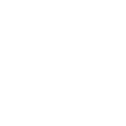 技能 icon 琥珀 援技.png