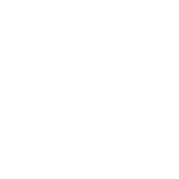 技能 icon 杏子 主技.png