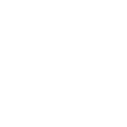 技能 icon 璟麟 主技.png