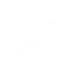 14301 Normal.png