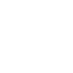 技能 icon 卡娜丝 援技.png