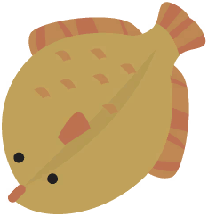 Flat Sandfish.png