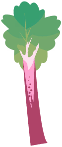 Rhubarb.png